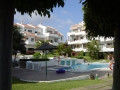 apartments-hg-cristian-sur-de-tenerife-exteriores_piscina_jardin_3